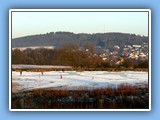 Der Michelbacher Weiher im Winter - Bild 03