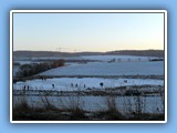 Der Michelbacher Weiher im Winter - Bild 01
