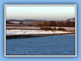 Der Michelbacher Weiher im Winter - Bild 02