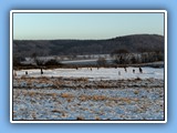 Der Michelbacher Weiher im Winter - Bild 04